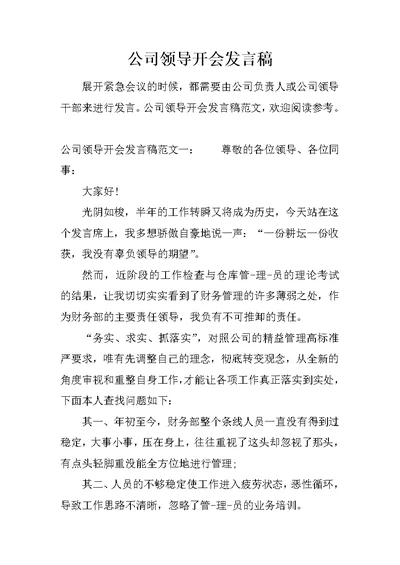 公司领导开会发言稿 1