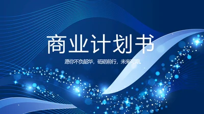 蓝色路演创新商业计划书商务PPT