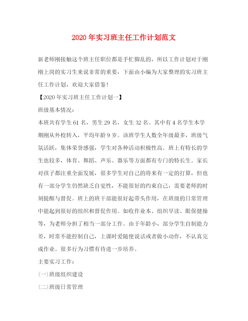 精编之年实习班主任工作计划范文.docx