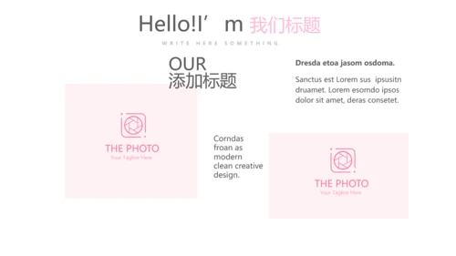 粉色公司产品介绍宣传通用PPT动态模板