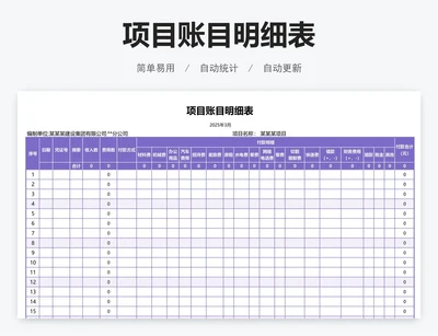 项目账目明细表