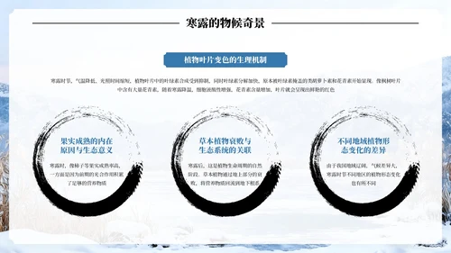 蓝色古风中国二十四节气寒露节气PPT模板