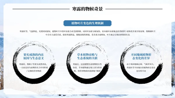 蓝色古风中国二十四节气寒露节气PPT模板