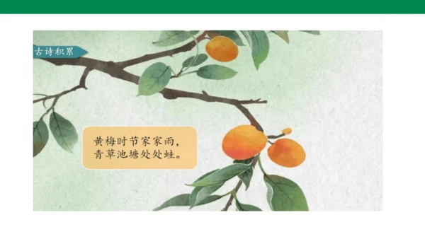 部编版小学语文三年级下册1.《古诗三首》第三课时-三衢道中