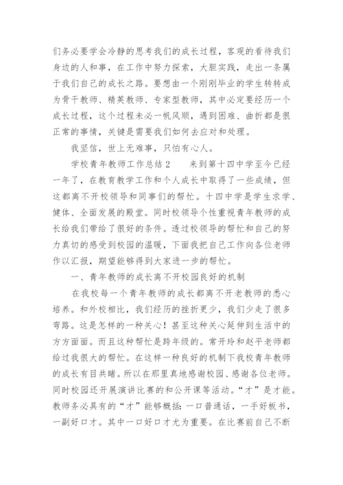 学校青年教师工作总结.docx