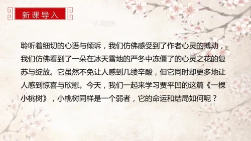 第19课 一棵小桃树 课件(共24张PPT)