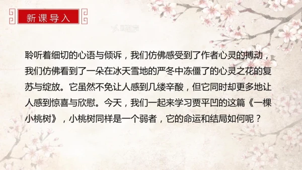 第19课 一棵小桃树 课件(共24张PPT)