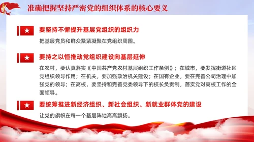 主题教育党课ppt十三个坚持严密党的组织体系党建
