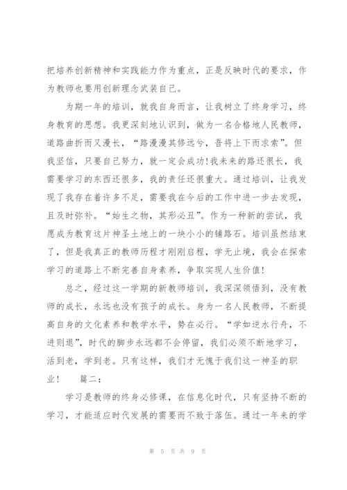 新教师入职培训工作总结.docx