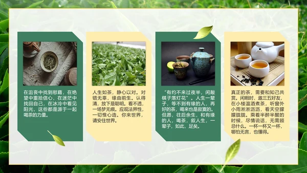 绿色实景茶园茶道科普介绍PPT模板