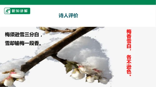 9. 古诗三首 第三课时 课件