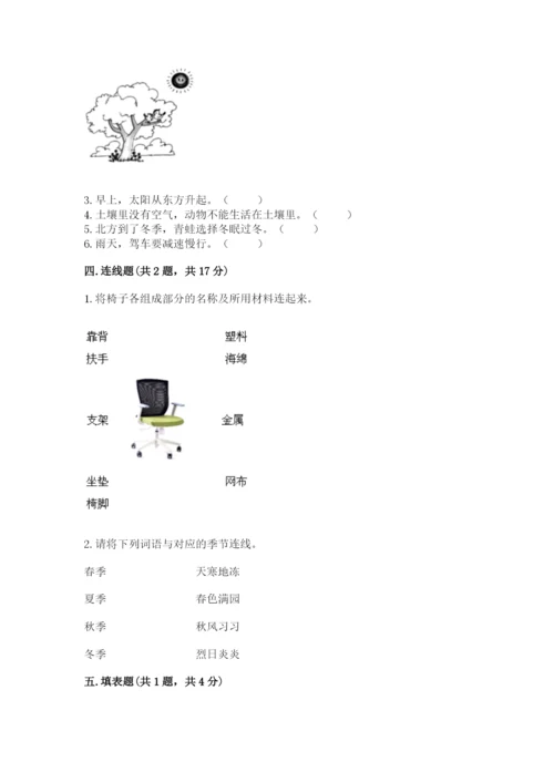 教科版小学二年级上册科学期末测试卷带答案（典型题）.docx