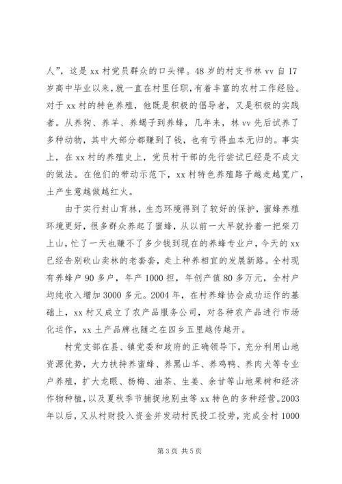 村党支部事迹材料 (6).docx