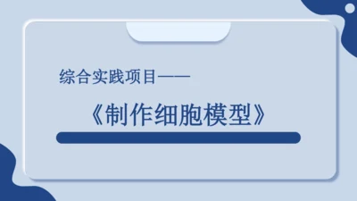 综合实践项目1制作细胞模型（课件）（人教版2024）-【跨学科实践】七年级生物上册跨学科实践备课包（