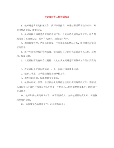 精编之审计处财务工作计划范文.docx