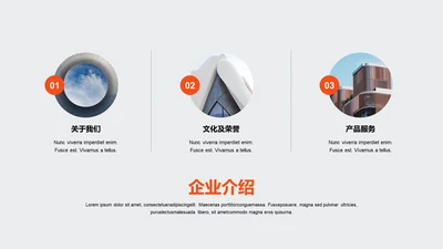 单色扁平3项企业介绍