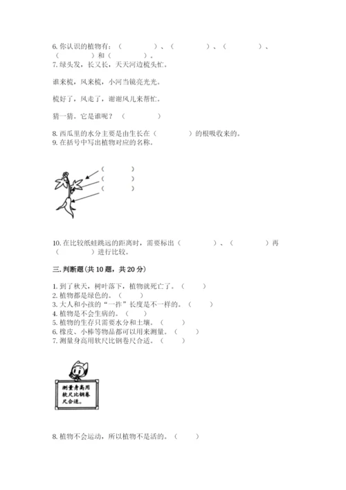 教科版一年级上册科学期末测试卷【轻巧夺冠】.docx