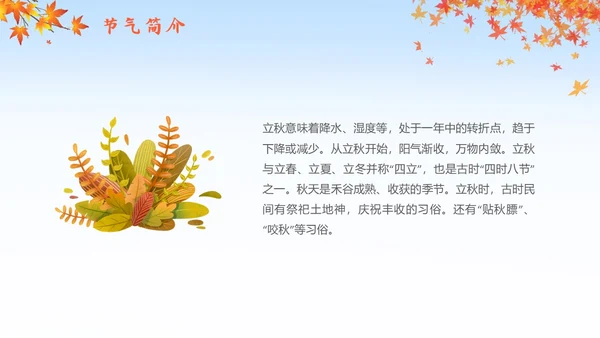 简约插画枫叶立秋二十四节气立秋科普知识科普PPT