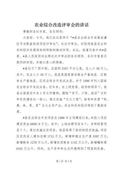 农业综合改造评审会的讲话.docx