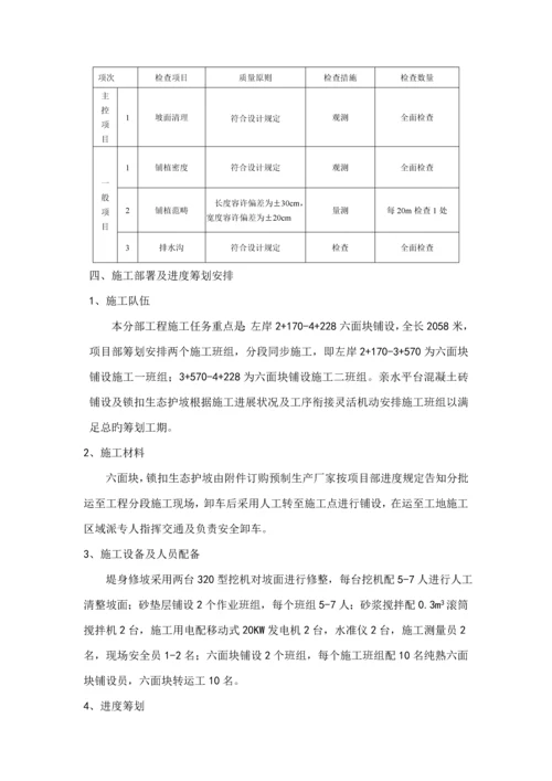 堤身防护综合施工专题方案.docx