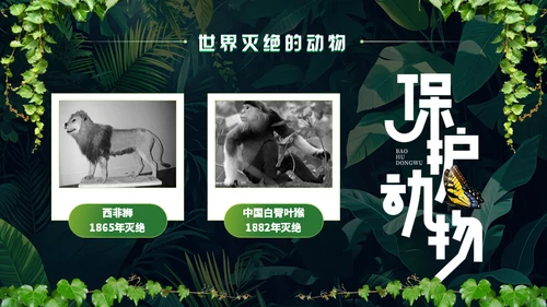 世界野生动植物日保护野生动物通用PPT模板