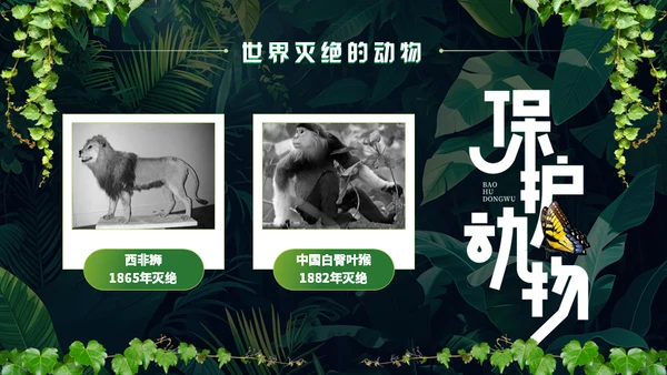 世界野生动植物日保护野生动物通用PPT模板