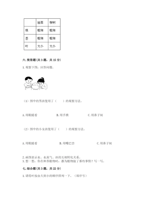 教科版科学一年级上册第一单元《植物》测试卷及1套参考答案.docx