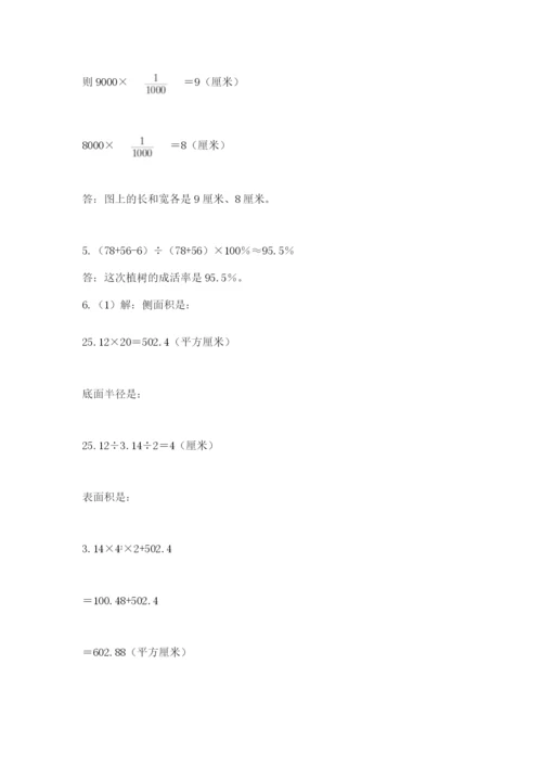 小学六年级数学毕业试题精品（典优）.docx