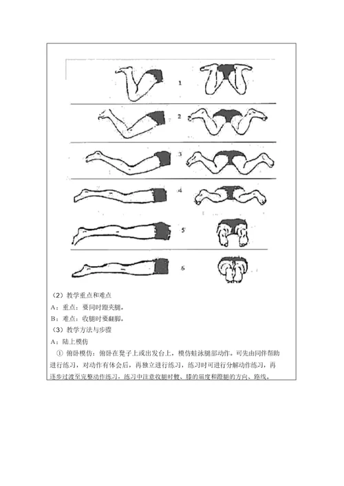 蛙泳教案(12次课) 8543