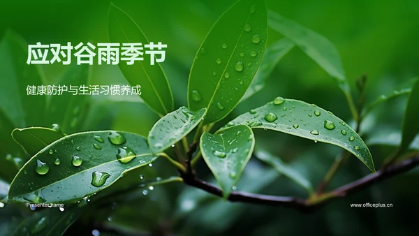 应对谷雨季节