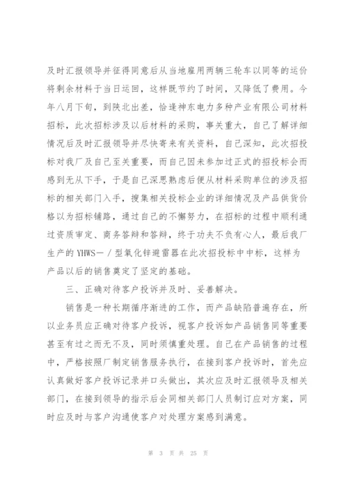 销售代表个人工作总结10篇.docx