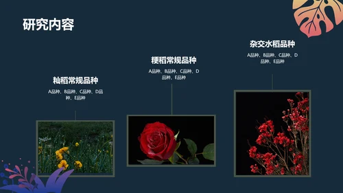 手绘插画风植物与污染研究总结报告