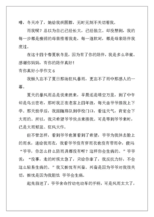 2022年有你真好小学作文(精选15篇)
