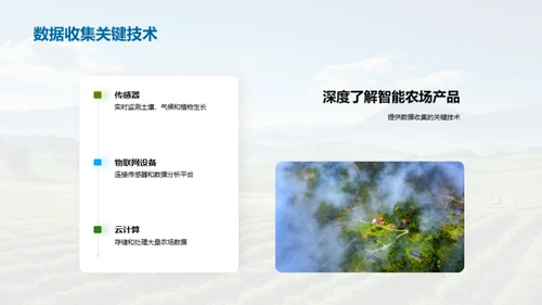 农业革新：智能农场洞察