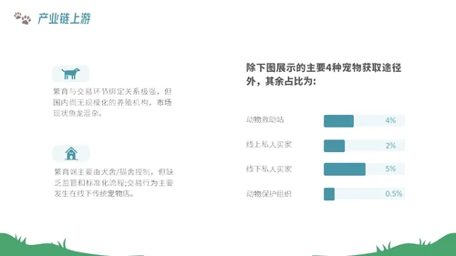 插画风宠物经济行业前景分析报告PPT