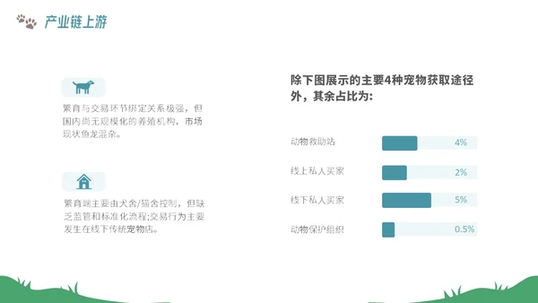 插画风宠物经济行业前景分析报告PPT