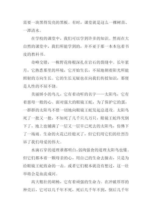 这也是课堂作文.docx