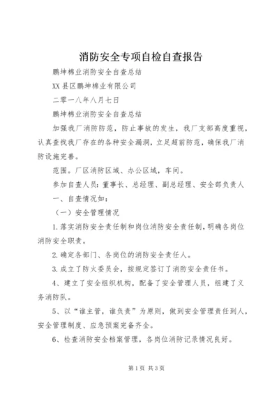 消防安全专项自检自查报告 (3).docx