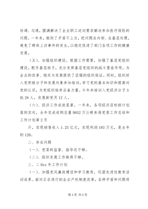 粮食局党委工作总结和工作计划.docx