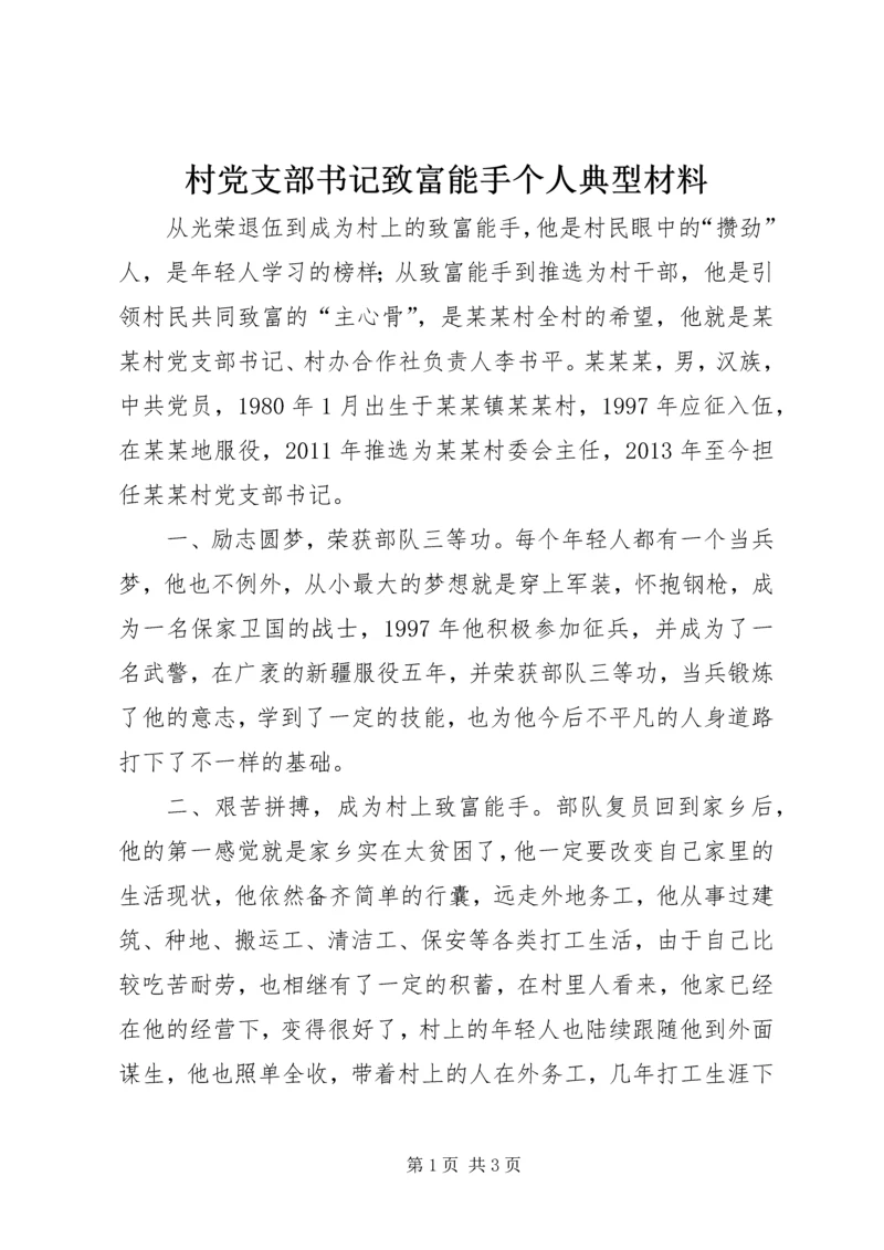 村党支部书记致富能手个人典型材料.docx