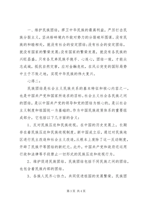 学习民族团结政策心得体会 (4).docx