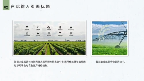 智慧农业禾苗水稻通用PPT模板