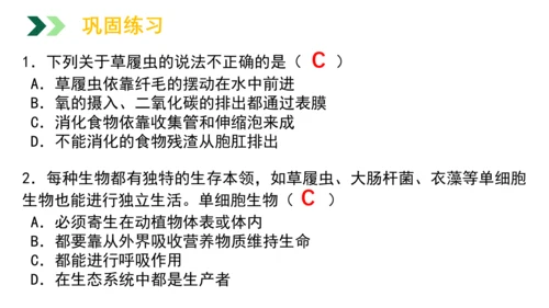 2.2.4 单细胞生物-2023-2024学年七年级生物上册优质教学课件（人教版）(共20张PPT)