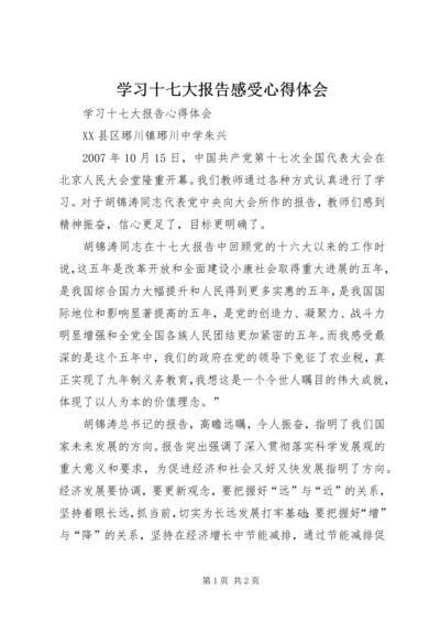 学习十七大报告感受心得体会 (4).docx