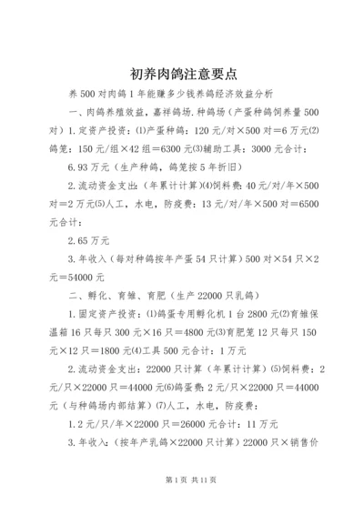 初养肉鸽注意要点.docx