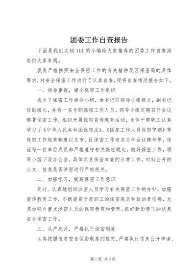 团委工作自查报告.docx