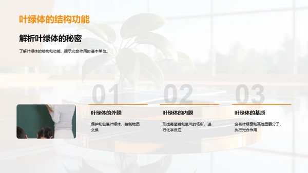 绿色能源之源