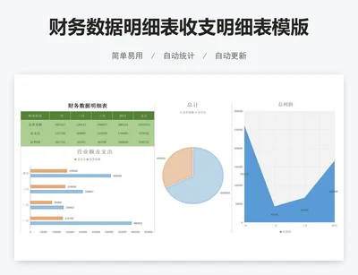 财务数据明细表收支明细表模版