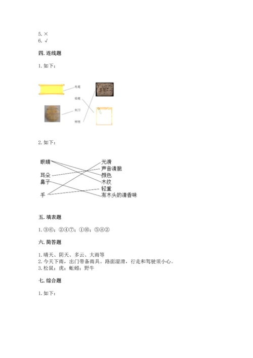 教科版二年级上册科学期末测试卷（真题汇编）.docx