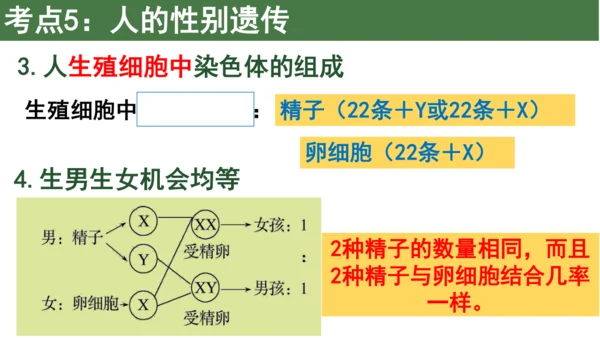 八下 第七单元复习课件(共58张PPT)